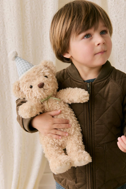 Snuggle Bunnies - Birthday Arthur - Gingham 36cm
