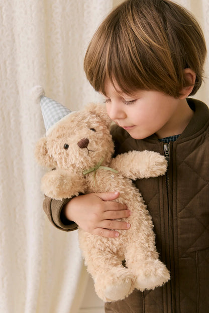 Snuggle Bunnies - Birthday Arthur - Gingham 36cm