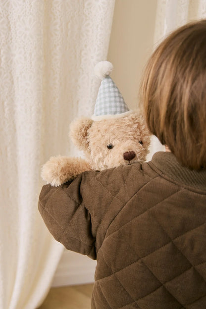 Snuggle Bunnies - Birthday Arthur - Gingham 36cm
