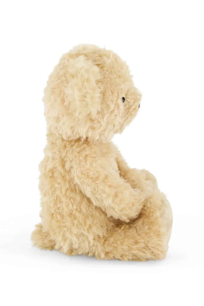 Snuggle Bunnies - Arthur the Bear 36cm
