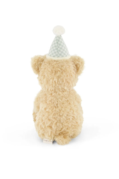 Snuggle Bunnies - Birthday Arthur - Gingham 36cm